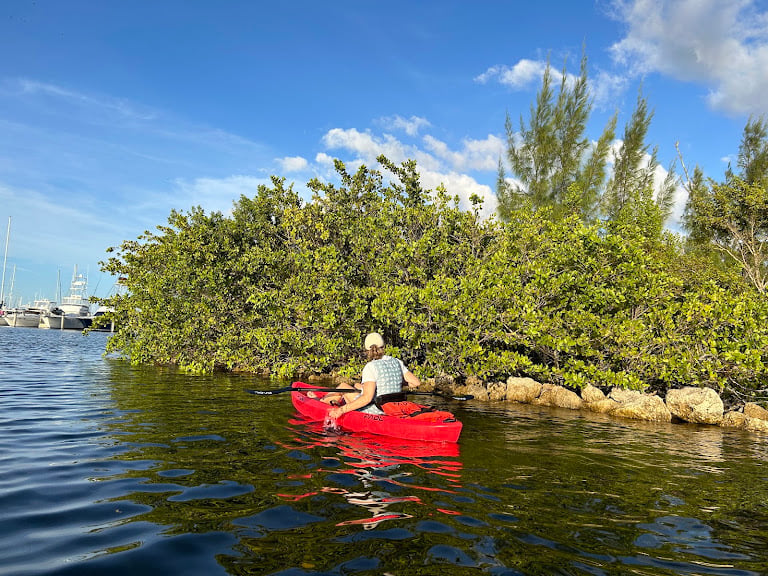 PADL - Coconut Grove Peacock Park — Miami, Florida (2)