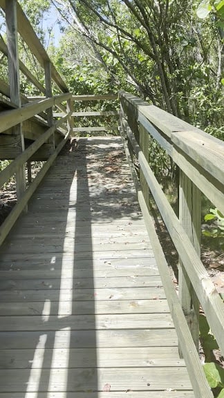 PADL - Coconut Grove Peacock Park — Miami, Florida (3)