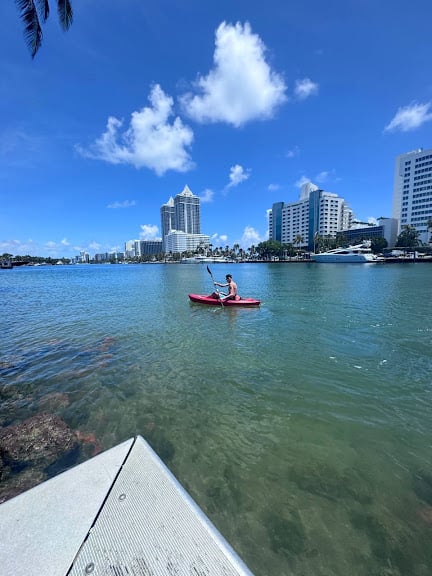 PADL - Miami Beach Pine Tree Park — Miami Beach, Florida (2)