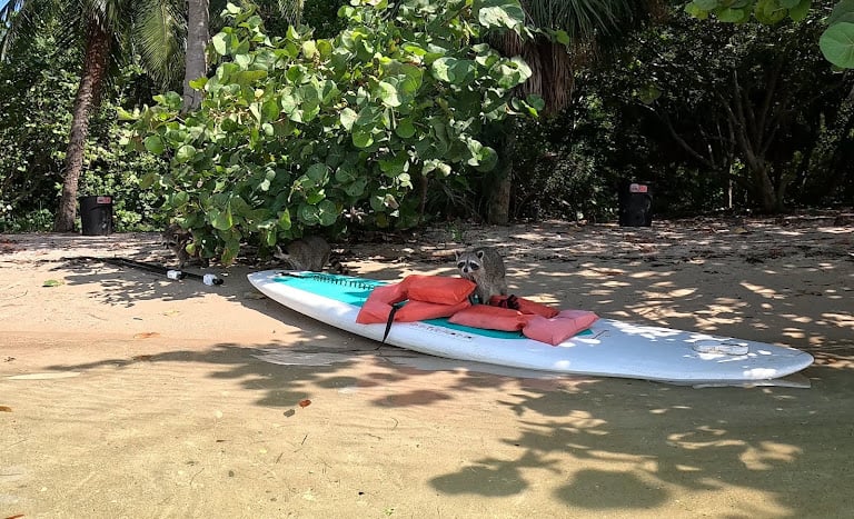 PADL Wind Club at Crandon Park — Key Biscayne, Florida (2)