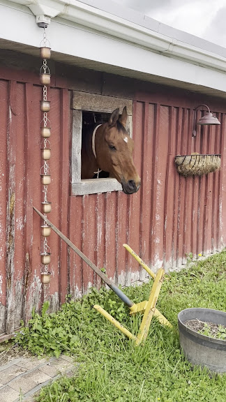 Painted Bar Stables — Burdett, New York (3)