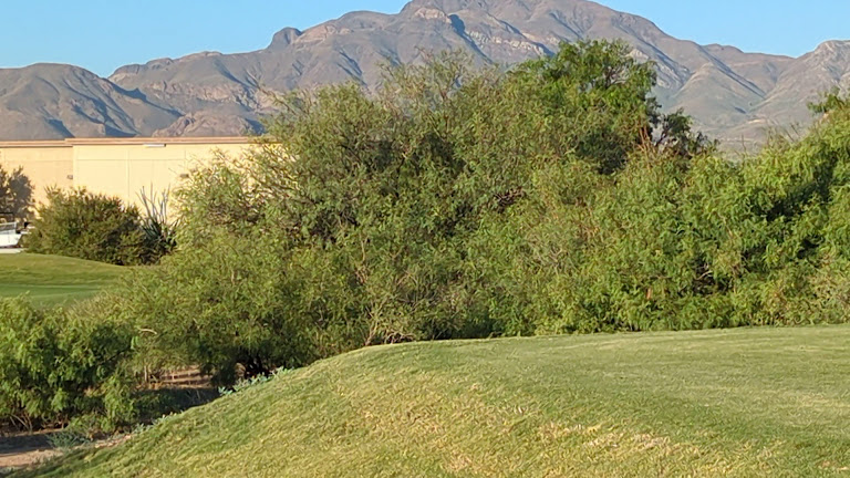 Painted Dunes Desert Golf Course — El Paso, Texas (3)
