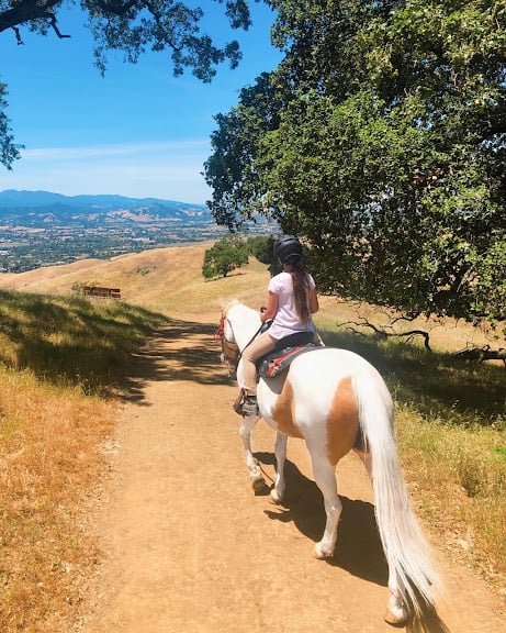 Painted Star Equestrian — Gilroy, California (2)