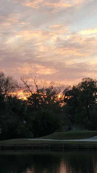 Palma Ceia Golf & Country Club — Tampa, Florida (3)