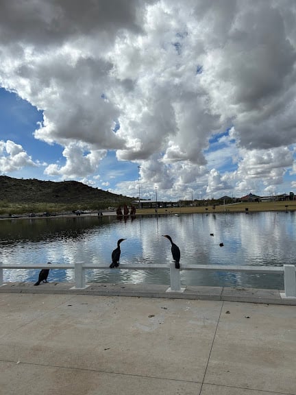 Paloma Community Park-Pickleball Courts