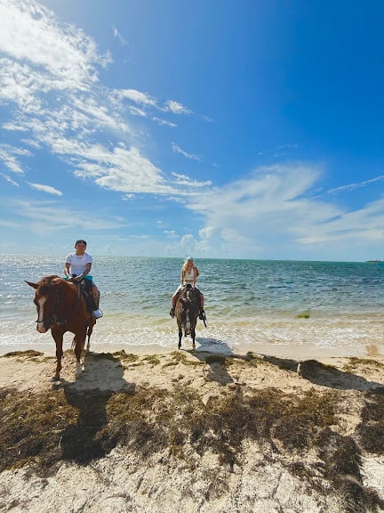 Palomino Ranch & Tours LLC