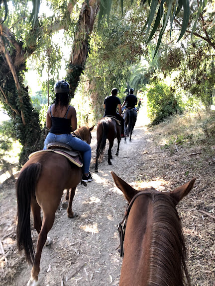 Palos Verdes Stables