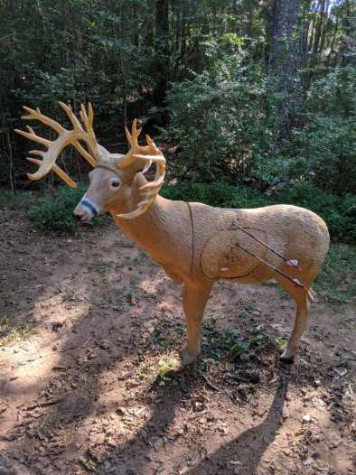 Panola Mountain State Park Archery Range