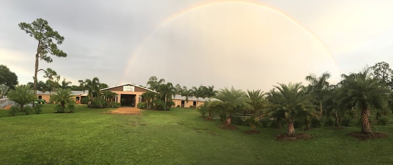 Paradise at Limestone Stables — Cocoa