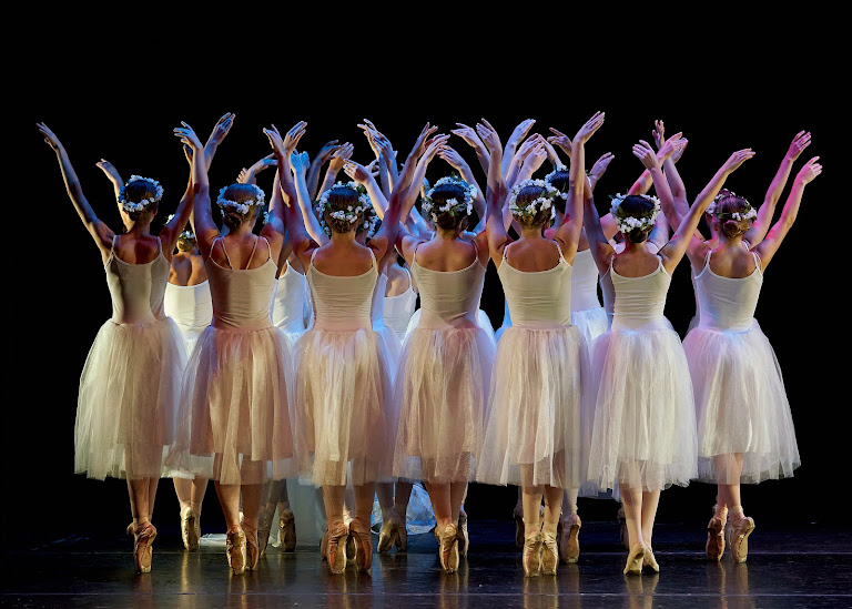 Park Hill Dance Academy