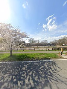 Pelham Bit Stables — Bronx, New York (2)