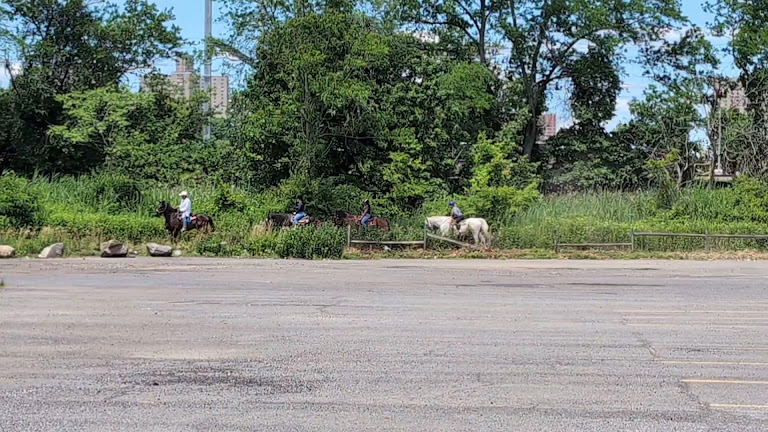Pelham Bit Stables — Bronx, New York (3)