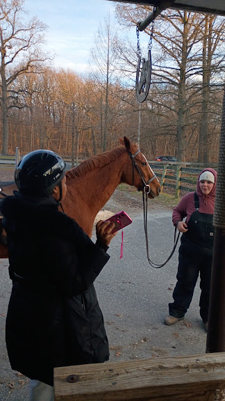 Pelham Bit Stables