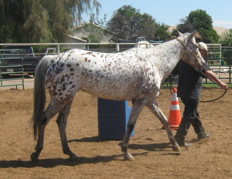 Pendergast Stables
