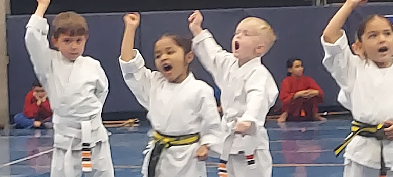 Peoria Championship Martial Arts LLC — Martial Arts venue in Peoria, Arizona