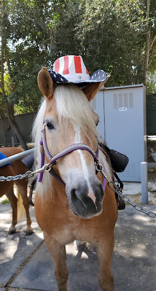 Peter Weber Equestrian Center — Rolling Hills Estates, California (2)