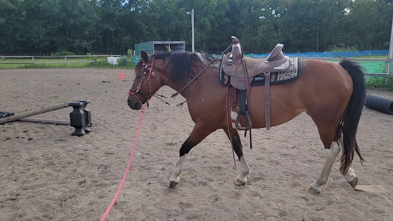 Pine Dance Ranch, Inc. — Lodi, Wisconsin (3)
