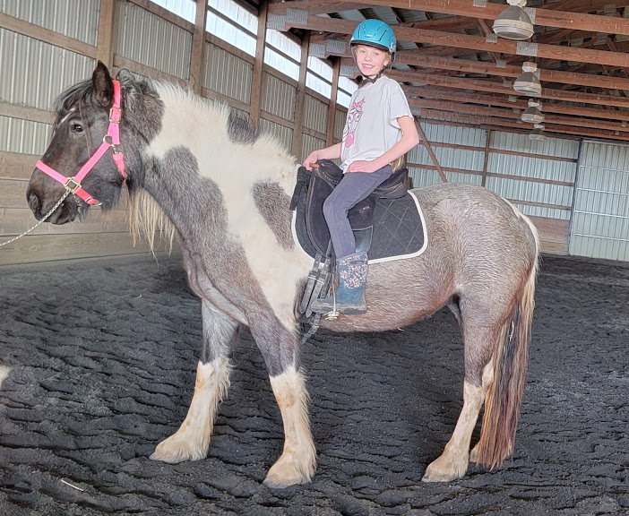 Pine View Stables