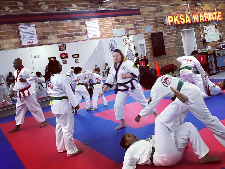 PKSA Karate Detroit — Detroit, Michigan (2)