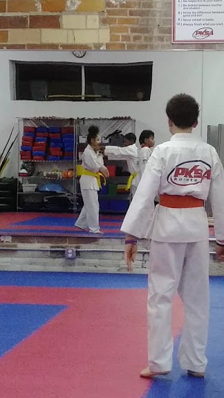 PKSA Karate Detroit — Detroit, Michigan (3)
