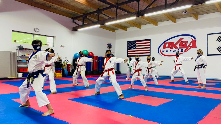 PKSA Karate Detroit — Martial Arts venue in Detroit, Michigan