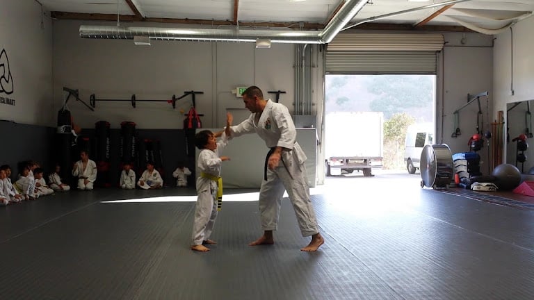 Practical Karate — San Diego, California (3)