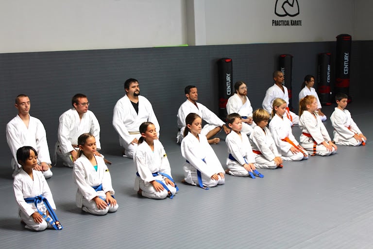 Practical Karate