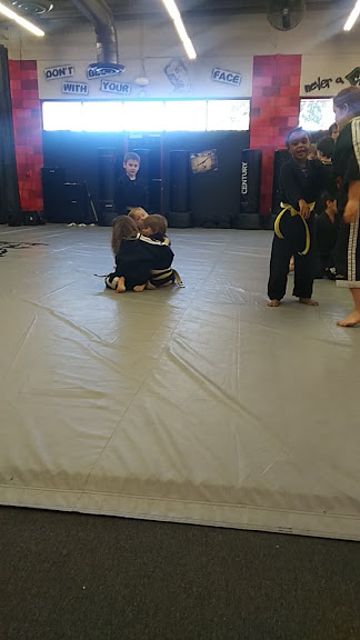 Precision Martial Arts — Mesa, Arizona (2)