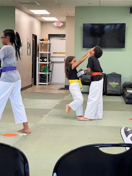 Premier Martial Arts Atlanta Buckhead — Atlanta, Georgia (2)