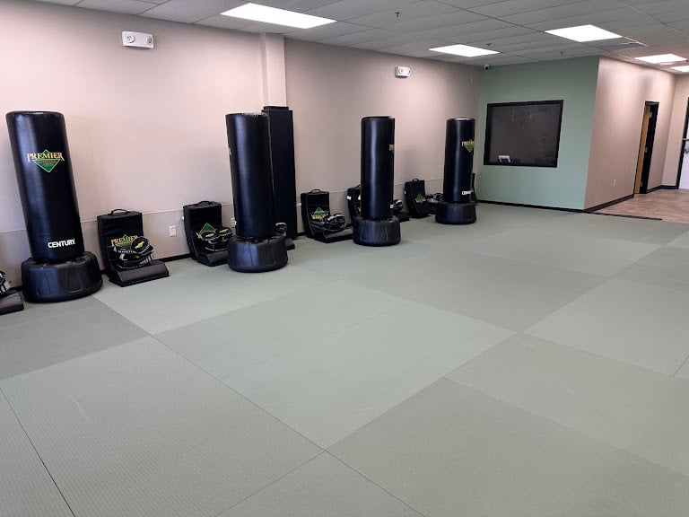 Premier Martial Arts Atlanta Buckhead — Atlanta, Georgia (3)