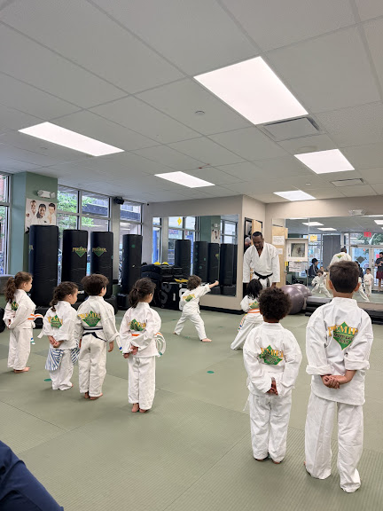 Premier Martial Arts Brooklyn Heights — Brooklyn, New York (2)