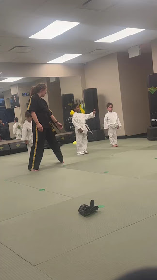 Premier Martial Arts Brooklyn Heights — Brooklyn, New York (3)