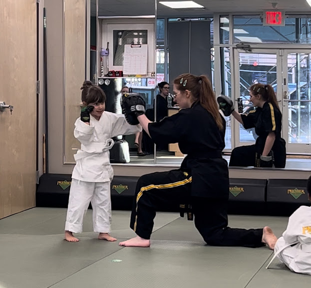 Premier Martial Arts Brooklyn Heights