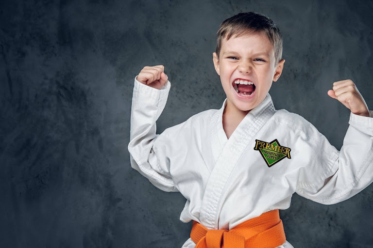 Premier Martial Arts Ivy City — Washington, District of Columbia (3)