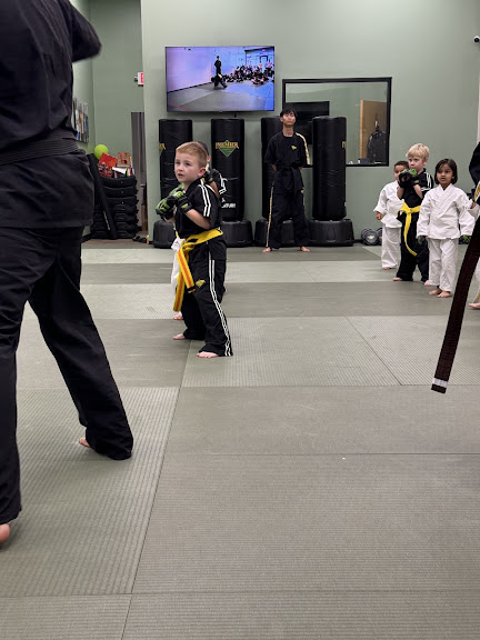 Premier Martial Arts River Oaks — Houston, Texas (3)