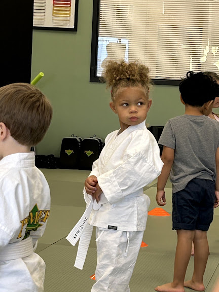 Premier Martial Arts West Arlington — Arlington, Texas (2)
