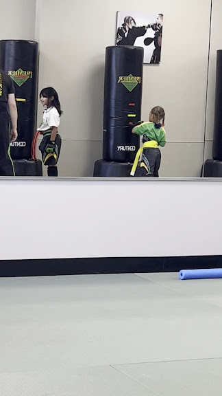 Premier Martial Arts West Arlington — Arlington, Texas (3)