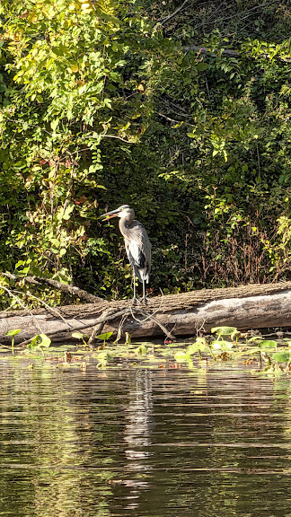 Princeton Canoe & Kayak Rental — Princeton, New Jersey (2)