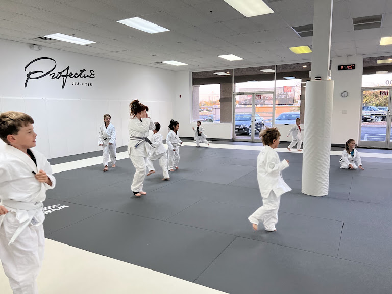 Profectus Jiu-Jitsu Hendersonville — Hendersonville, Tennessee (2)