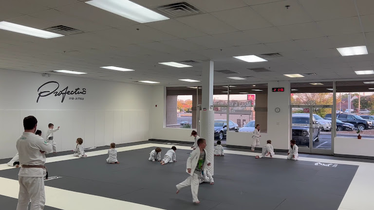 Profectus Jiu-Jitsu Hendersonville — Hendersonville, Tennessee (3)