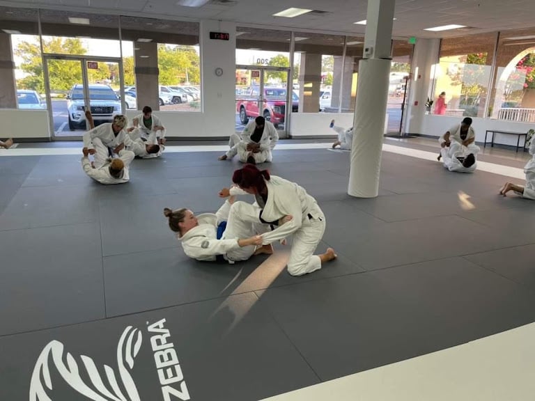 Profectus Jiu-Jitsu Hendersonville