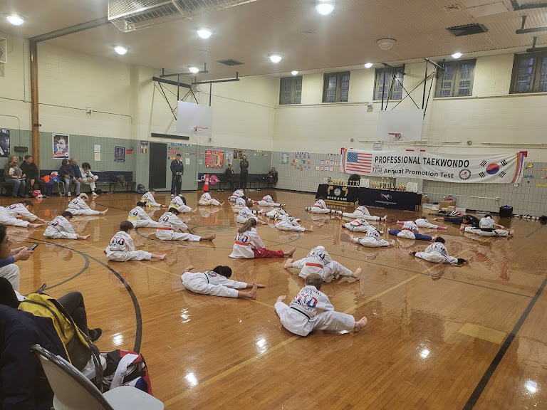 Professional Martial arts Taekwondo Center