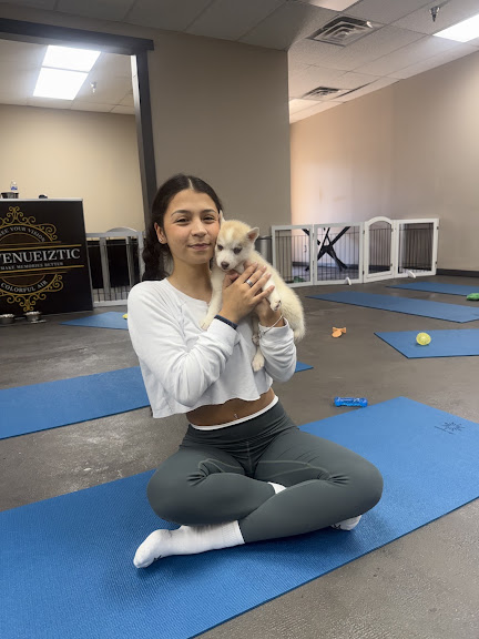 Puppies & Yoga — Plano, Texas (2)