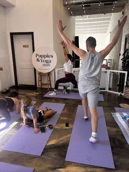 Puppy Yoga Orlando (Puppies Yoga) — Orlando, Florida (3)