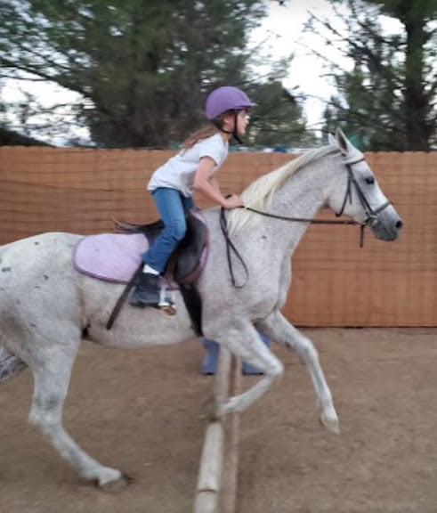 Rancho Escondido Therapeutic Riding — Equestrian venue in Anthony, New Mexico