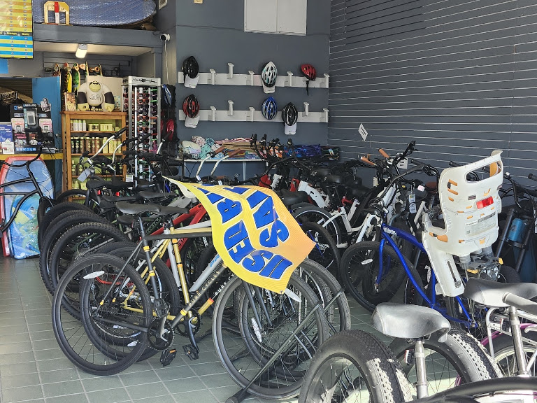 Rays Rentals Venice