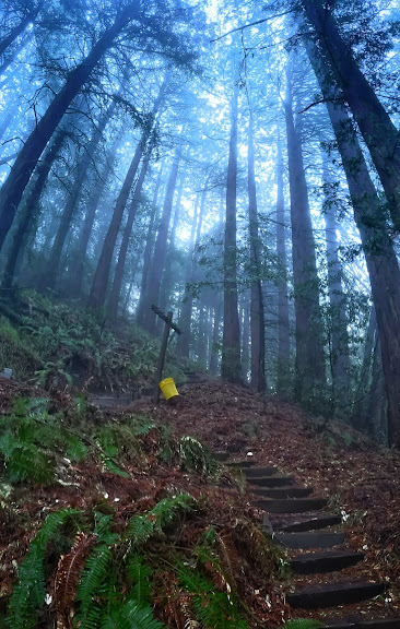 Redwood Bowmen Archery Club — Oakland, California (2)