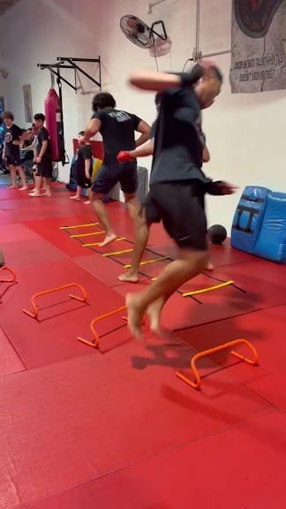 RHINO ACADEMY MMA LLC — Miami, Florida (3)