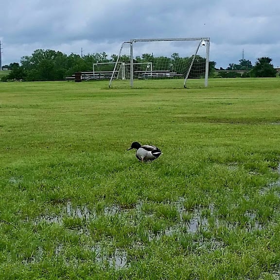 Richardson Soccer Association