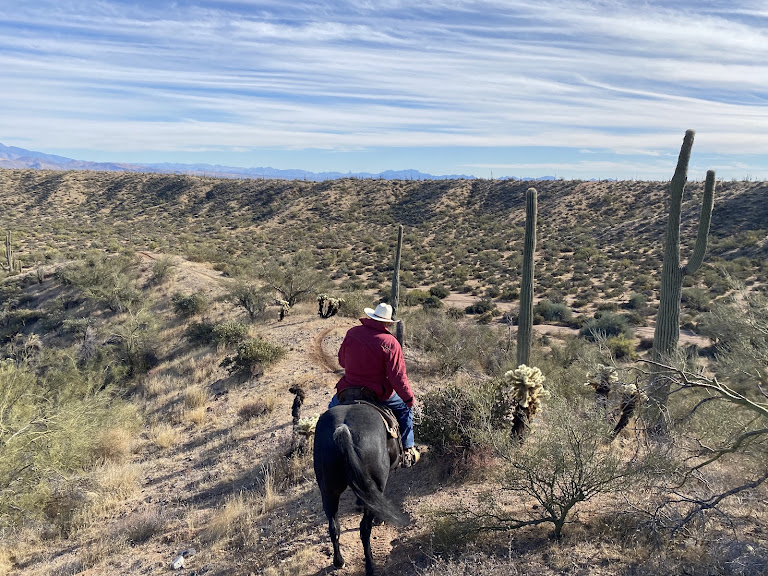 Rio Rancho Verde — Scottsdale, Arizona (3)